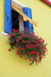 Red flowers Geraniums on the Yellow House on the island of buran