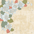 Vektor: Light floral background with blue hydrangea Light floral background with blue hydrangea