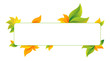 Autumn frame