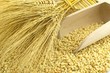 Foto: Fregola sarda Fregola sarda