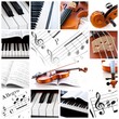 Music collection