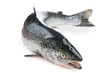 Whole salmon