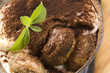 Tiramisu Dessert