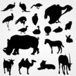 set of silhouettes of animals on zoo