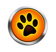 Illustration: Paw button orange Paw button orange