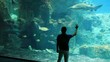 Vídeo: young boy watch aquairum young boy watch aquairum