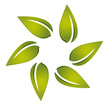 Leafs around logo vector