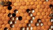 Video: Larvae and cocoons of bees Larvae and cocoons of bees