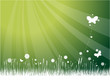 Green background on ecology theme