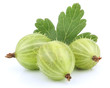 Photo: Green gooseberry fruit with leaf on white Green gooseberry fruit with leaf on white