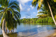 Foto : Palm beach Palm beach
