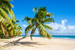 Foto: Palm beach Palm beach