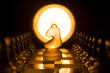 Chess knight