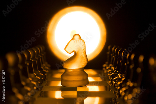 Photo: Chess knight Chess knight