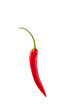 Rote Chilischote