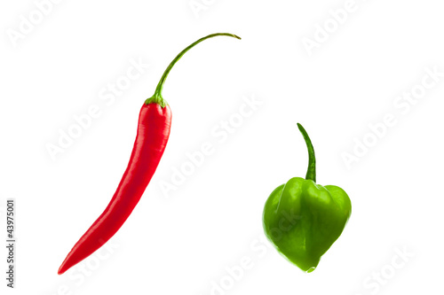 Photo: Rote und grüne Chilischoten Rote und grüne Chilischoten