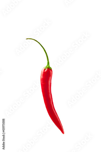 Photo: Rote Chilischote Rote Chilischote