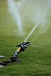 sprinkler of automatic