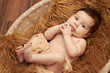 baby im körbchen