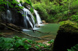 cascade dans la nature