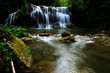 Rivière sauvage et cascade au milieu de la foret