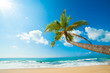 Tropical beach