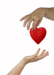 Gift of heart