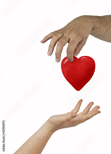 Photo: Gift of heart Gift of heart