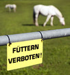 Füttern verboten Schild an Pferdekoppel