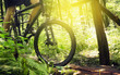 MTB