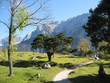 Meadow in the Bavarian Alps