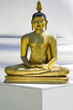 Photo: Buddha Buddha