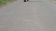 Skateboarder beim fahren