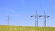 Video: Electrical towers on a filed of wheat Electrical towers on a filed of wheat