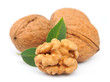 walnuts with leafs