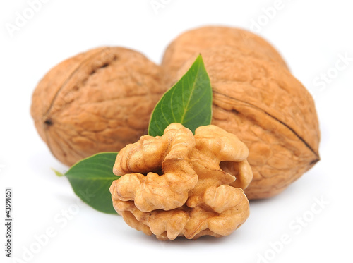 Photo: walnuts with leafs walnuts with leafs