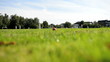 Video: Cricket match in Ghent, Belgium Cricket match in Ghent, Belgium