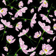 flower pattern cosmos