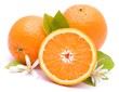 Frische Orangen