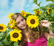 Sonnenblumen-Fee