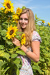 Pretty woman in a sunflower field