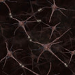 Illustration: Neurons Neurons