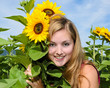 Beautiful girl loves sunflowers