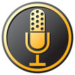 retro microphone icon