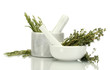 mortars with fresh green thyme and rosemary isolated on white