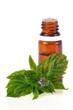Photo: Huile essentielle de menthe poivrée Huile essentielle de menthe poivrée