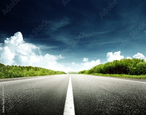 Photo: road in forest road in forest