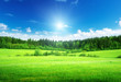 Field Of Grass And Perfect Sky