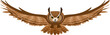 Vector illustration of brown flying owl