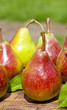 Foto: Birne Birne